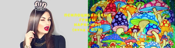 2c-b Богданович