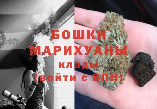 соль ск Богородск