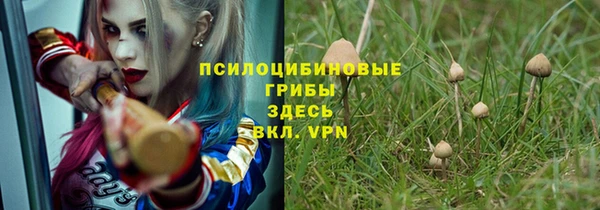 2c-b Богданович